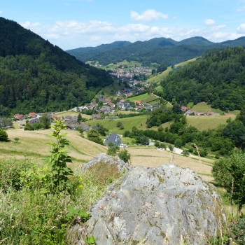 Biotopkartierung Münstertal